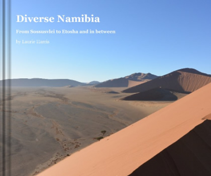 Book - Diverse Namibia